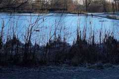 486556935_1084907683672593_302111528005913075_n