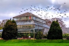 Botanical-Gardens-Glasgow