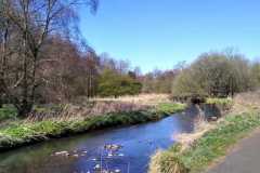 waterside-walk